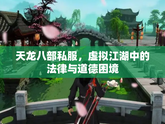 天龙八部私服，虚拟江湖中的法律与道德困境