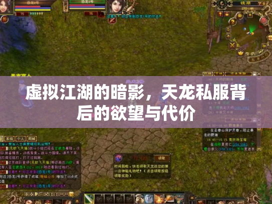 虚拟江湖的暗影，天龙私服背后的欲望与代价
