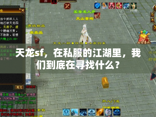 天龙sf，在私服的江湖里，我们到底在寻找什么？