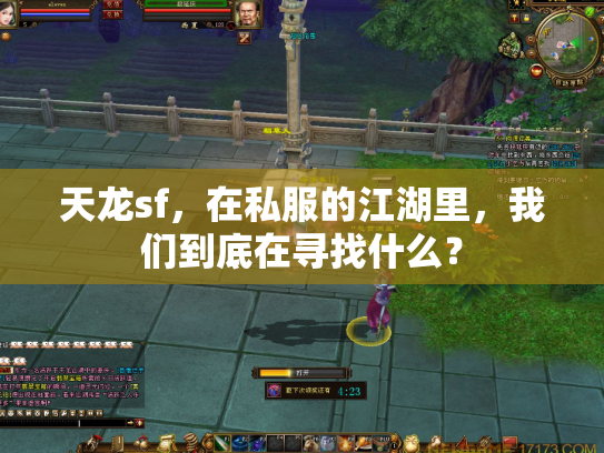 天龙sf，在私服的江湖里，我们到底在寻找什么？