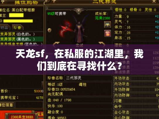 天龙sf，在私服的江湖里，我们到底在寻找什么？