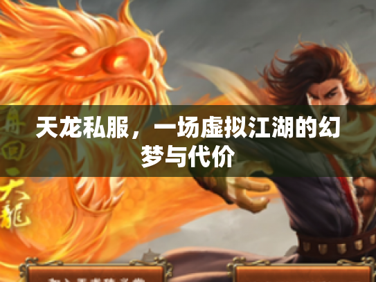 天龙私服，一场虚拟江湖的幻梦与代价