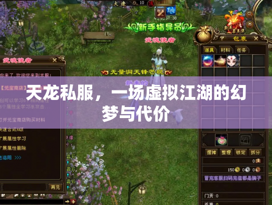 天龙私服，一场虚拟江湖的幻梦与代价