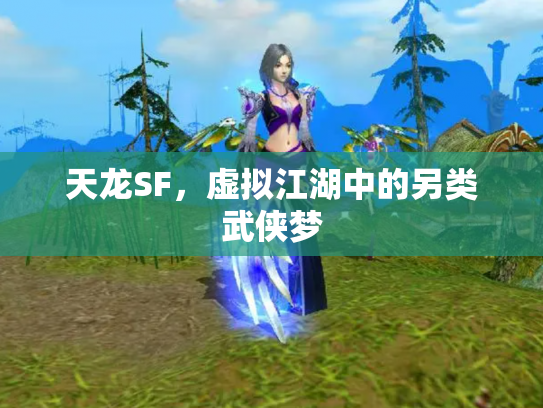 天龙SF，虚拟江湖中的另类武侠梦