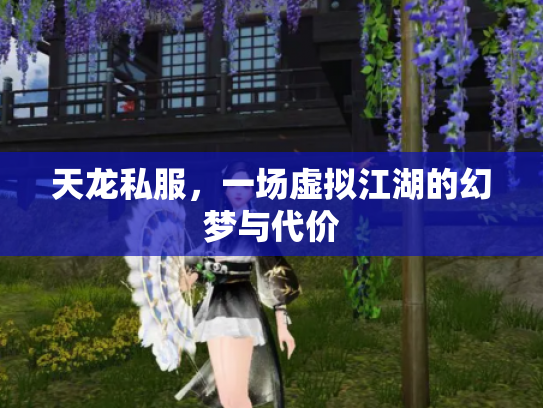 天龙私服，一场虚拟江湖的幻梦与代价