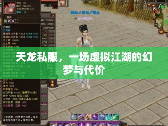天龙私服，一场虚拟江湖的幻梦与代价