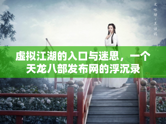 虚拟江湖的入口与迷思，一个天龙八部发布网的浮沉录