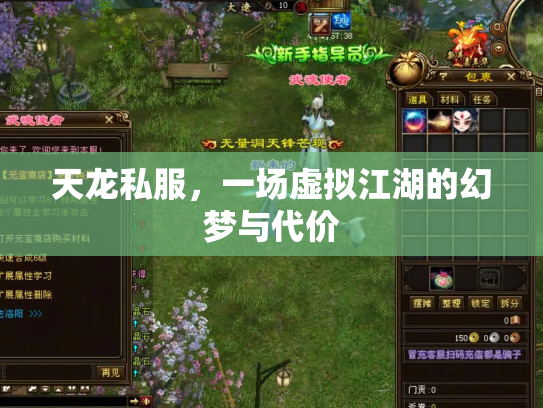 天龙私服，一场虚拟江湖的幻梦与代价