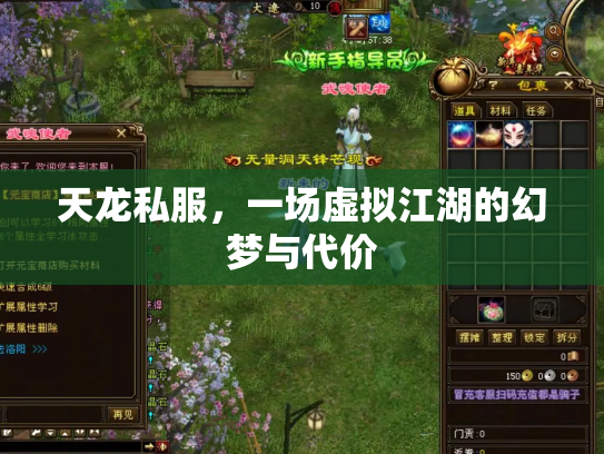 天龙私服，一场虚拟江湖的幻梦与代价