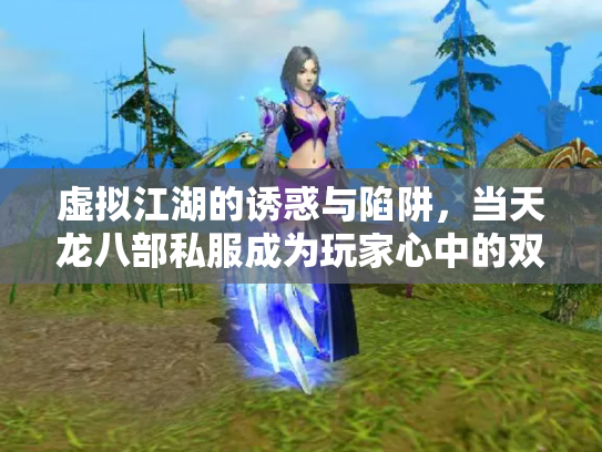 虚拟江湖的诱惑与陷阱，当天龙八部私服成为玩家心中的双刃剑