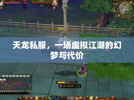 天龙私服，一场虚拟江湖的幻梦与代价