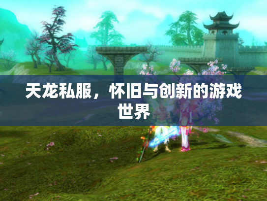 天龙私服，怀旧与创新的游戏世界