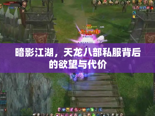 暗影江湖，天龙八部私服背后的欲望与代价