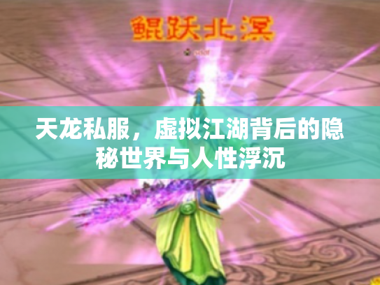天龙私服，虚拟江湖背后的隐秘世界与人性浮沉