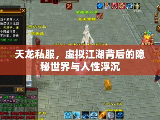 天龙私服，虚拟江湖背后的隐秘世界与人性浮沉