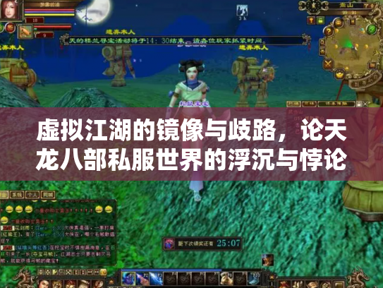 虚拟江湖的镜像与歧路，论天龙八部私服世界的浮沉与悖论