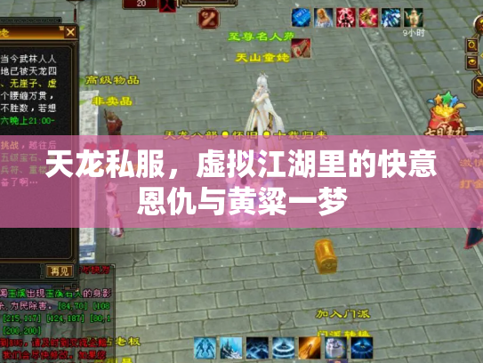 天龙私服，虚拟江湖里的快意恩仇与黄粱一梦