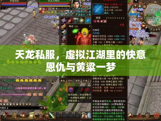 天龙私服，虚拟江湖里的快意恩仇与黄粱一梦