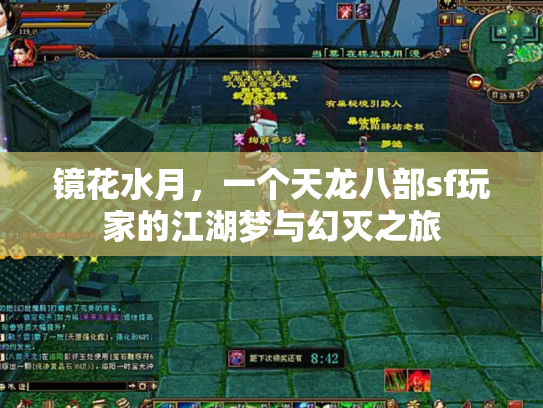 镜花水月，一个天龙八部sf玩家的江湖梦与幻灭之旅