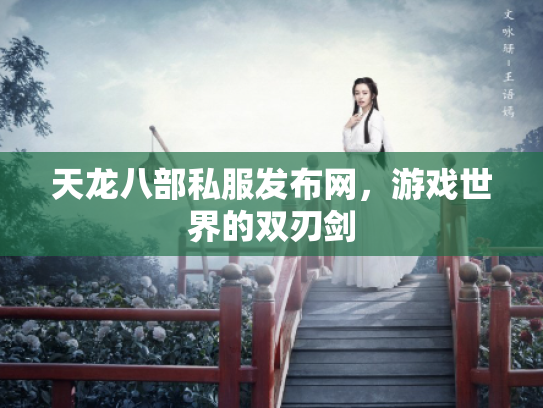 天龙八部私服发布网，游戏世界的双刃剑
