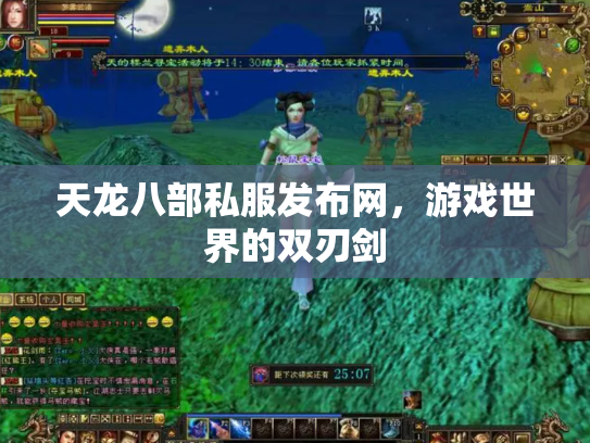 天龙八部私服发布网，游戏世界的双刃剑