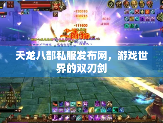 天龙八部私服发布网，游戏世界的双刃剑