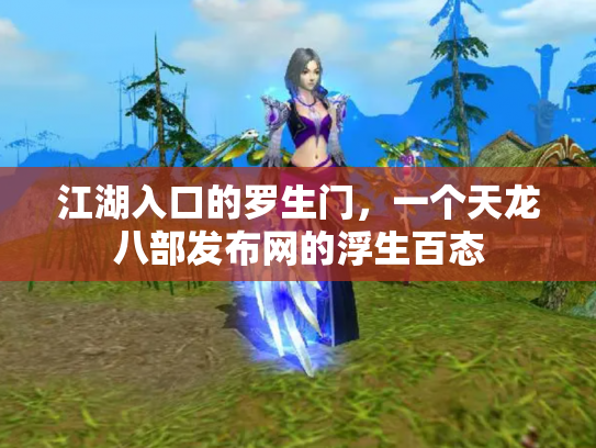 江湖入口的罗生门，一个天龙八部发布网的浮生百态