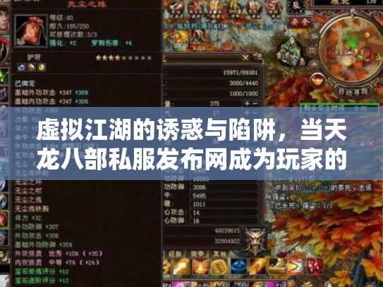 虚拟江湖的诱惑与陷阱，当天龙八部私服发布网成为玩家的潘多拉魔盒