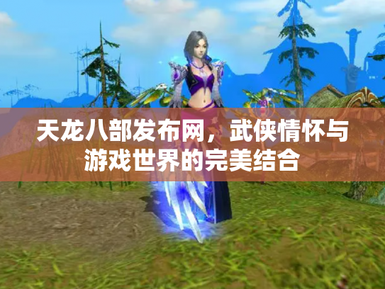 天龙八部发布网，武侠情怀与游戏世界的完美结合