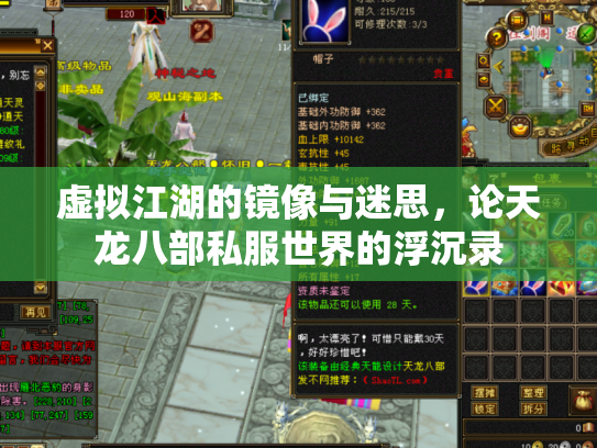 虚拟江湖的镜像与迷思，论天龙八部私服世界的浮沉录
