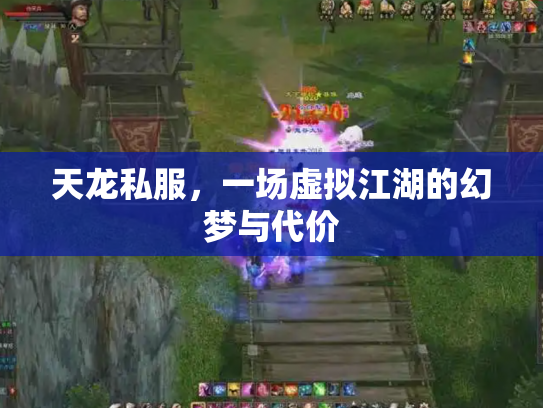 天龙私服，一场虚拟江湖的幻梦与代价