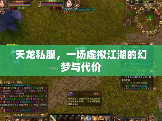 天龙私服，一场虚拟江湖的幻梦与代价