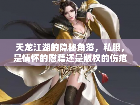 天龙江湖的隐秘角落，私服，是情怀的慰藉还是版权的伤疤？