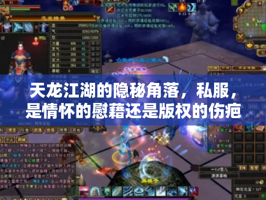 天龙江湖的隐秘角落，私服，是情怀的慰藉还是版权的伤疤？