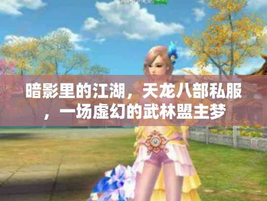 暗影里的江湖，天龙八部私服，一场虚幻的武林盟主梦