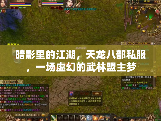 暗影里的江湖，天龙八部私服，一场虚幻的武林盟主梦