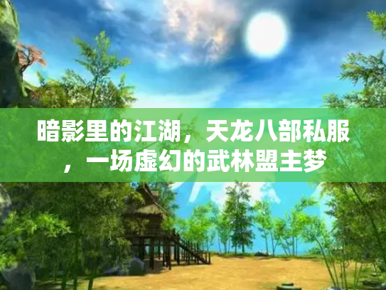暗影里的江湖，天龙八部私服，一场虚幻的武林盟主梦