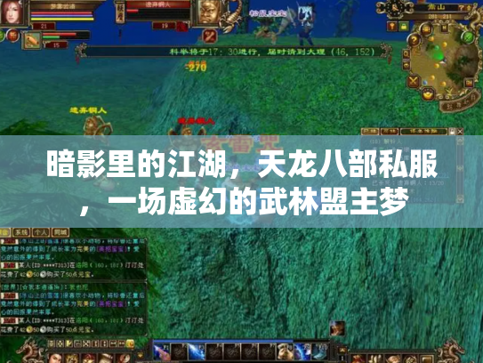 暗影里的江湖，天龙八部私服，一场虚幻的武林盟主梦