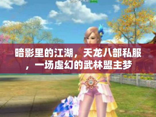 暗影里的江湖，天龙八部私服，一场虚幻的武林盟主梦