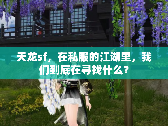天龙sf，在私服的江湖里，我们到底在寻找什么？