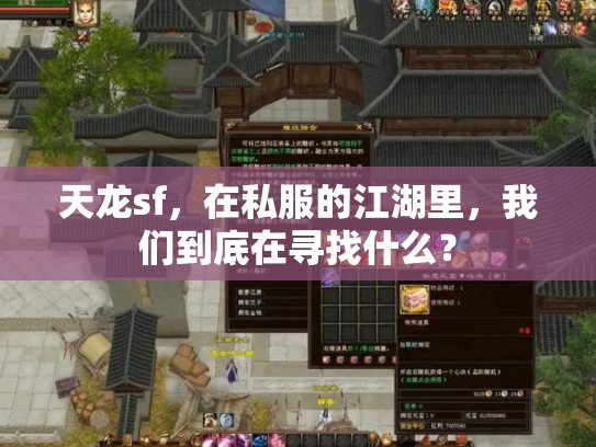 天龙sf，在私服的江湖里，我们到底在寻找什么？