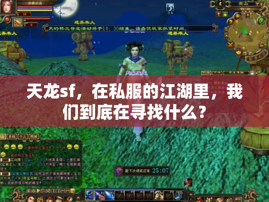 天龙sf，在私服的江湖里，我们到底在寻找什么？