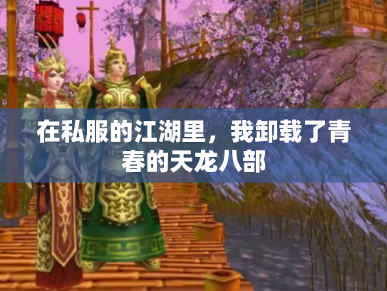 在私服的江湖里，我卸载了青春的天龙八部