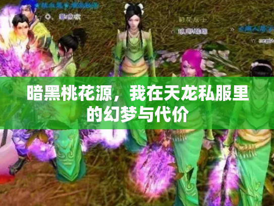 暗黑桃花源，我在天龙私服里的幻梦与代价