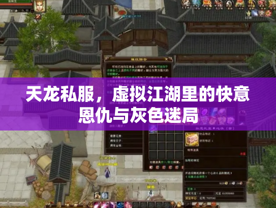 天龙私服，虚拟江湖里的快意恩仇与灰色迷局