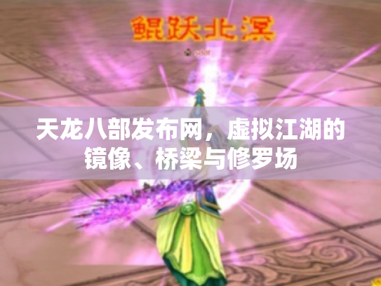 天龙八部发布网，虚拟江湖的镜像、桥梁与修罗场