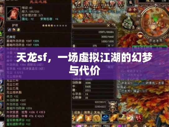 天龙sf，一场虚拟江湖的幻梦与代价