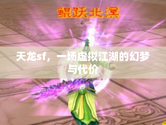 天龙sf，一场虚拟江湖的幻梦与代价