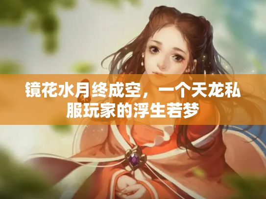 镜花水月终成空，一个天龙私服玩家的浮生若梦