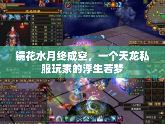 镜花水月终成空，一个天龙私服玩家的浮生若梦